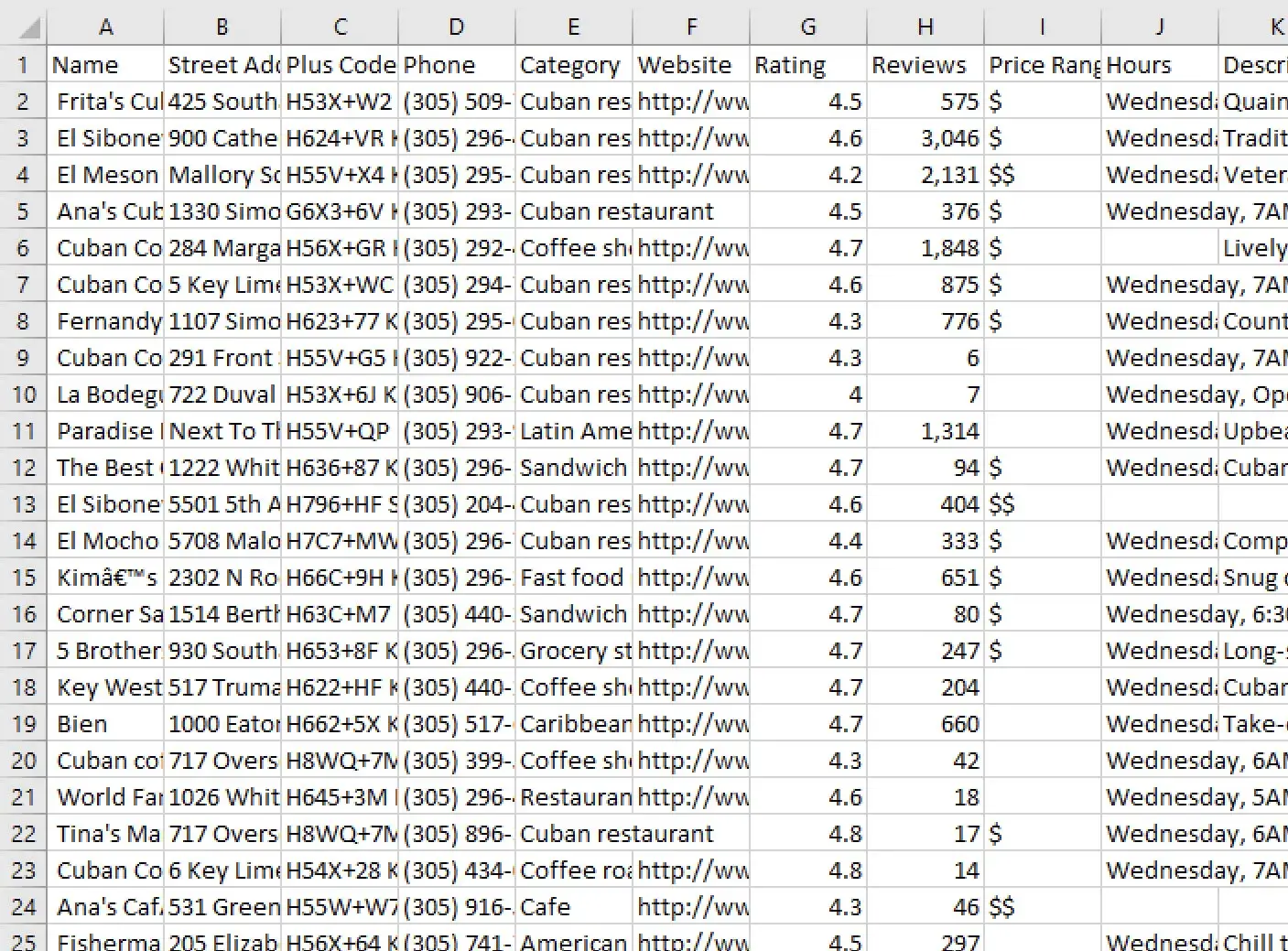 Google Maps Scraped Data